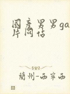 国产男男gay片网站