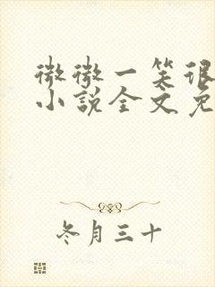 微微一笑很倾城小说全文免费阅读