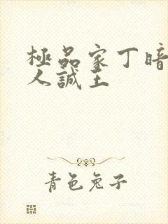 极品家丁暗黑同人诚王