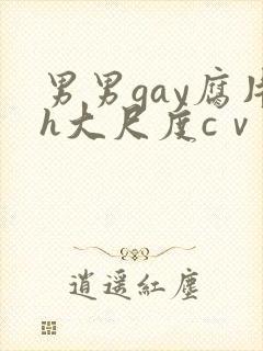 男男gay腐片h大尺度cⅴ小蓝