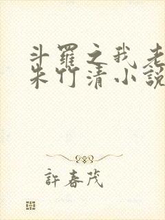 斗罗之我老婆是朱竹清小说