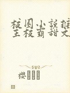 校园小说推荐男主校霸甜文