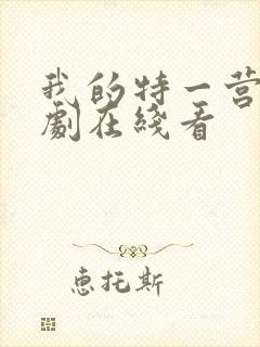 我的特一营电视剧在线看