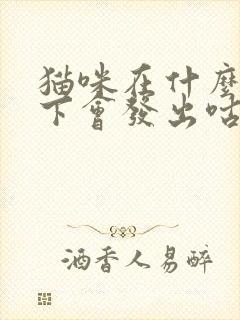 猫咪在什么情况下会发出咕噜的声音封面