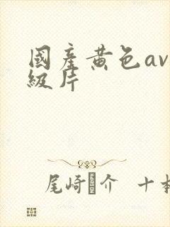 国产黄色av一级片