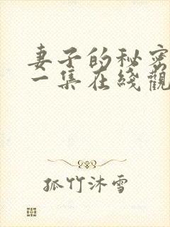 妻子的秘密第十一集在线观看免费