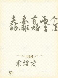 夫妻有两个孩子的,离婚会怎么判