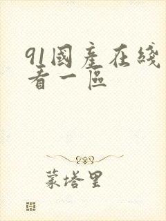 91国产在线观看一区