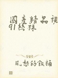 国产精品视频在91丝袜