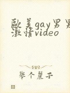 欧美gay男男激情video