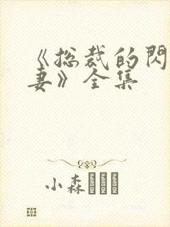 《总裁的闪婚娇妻》全集封面