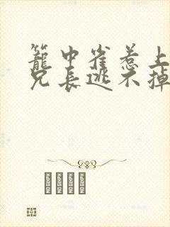 笼中雀惹上偏执兄长逃不掉结局封面