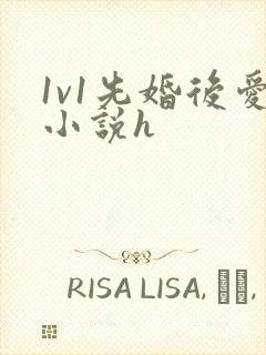1v1先婚后爱小说h