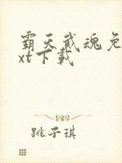 霸天武魂免费txt下载封面