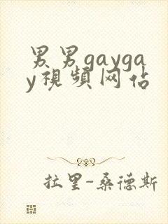 男男gaygay视频网站