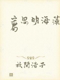 宋思明海藻大结局