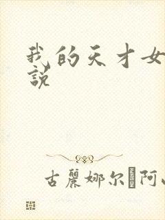 我的天才女友小说