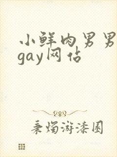 小鲜肉男男同性gay网站