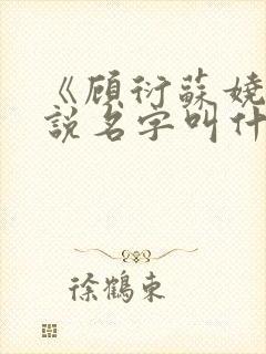 《顾衍苏娆》小说名字叫什么