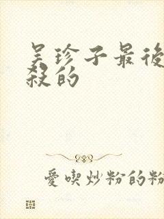 吴珍子最后被谁杀的封面