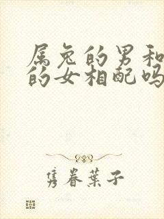 属兔的男和属龙的女相配吗