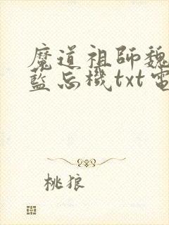 魔道祖师魏无羡蓝忘机txt电子书