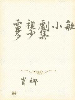 电视剧小敏家共多少集