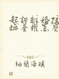 起诉离婚孩子的抚养权怎么判定