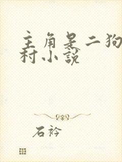 主角是二狗的乡村小说