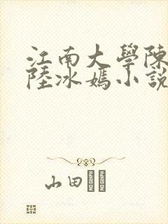 江南大学陈宝柱陆冰嫣小说封面