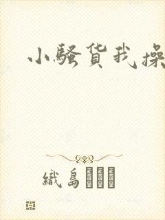 小骚货我操死你封面