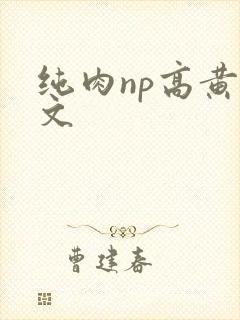 纯肉np高黄辣文