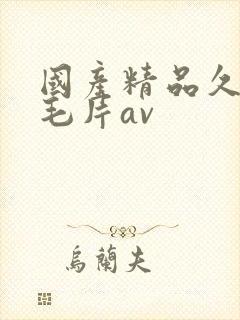 国产精品久久久毛片av