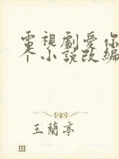 电视剧爱你是哪个小说改编的