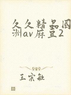 久久精品国产亚洲av麻豆2封面