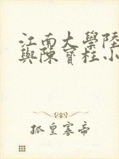 江南大学陆冰嫣与陈宝柱小说