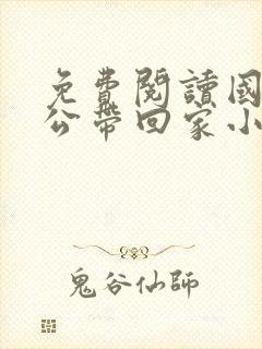 免费阅读国民老公带回家小说