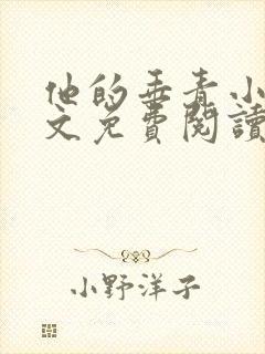 他的垂青小说全文免费阅读在线阅读