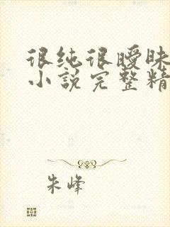 很纯很暧昧杨明小说完整精校版