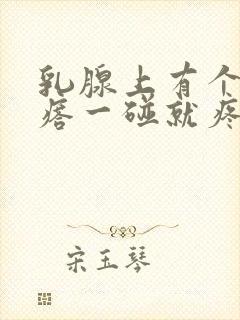 乳腺上有个硬疙瘩一碰就疼