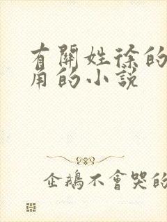 有关姓徐的女主角的小说封面