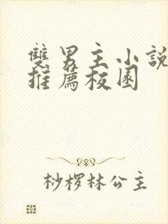 双男主小说甜文推荐校园