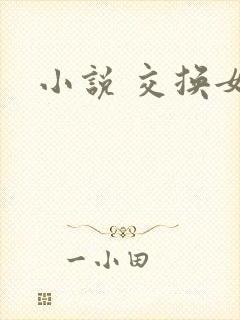 小说 交换女友
