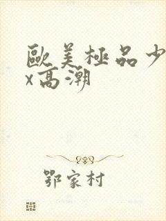 欧美极品少妇xx高潮