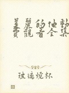 美丽的他动漫免费观看全集封面