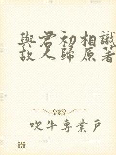 与君初相识恰似故人归原著封面