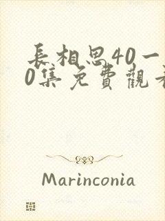 长相思40一60集免费观看