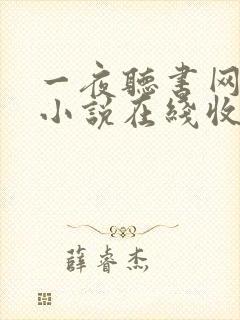 一夜听书网有声小说在线收听