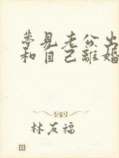 梦见老公出轨要和自己离婚很真实