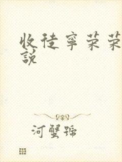 收徒宁荣荣的小说